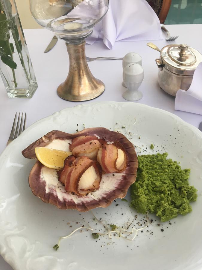 Palac Piorunow & Spa 크비아트코비체 외부 사진